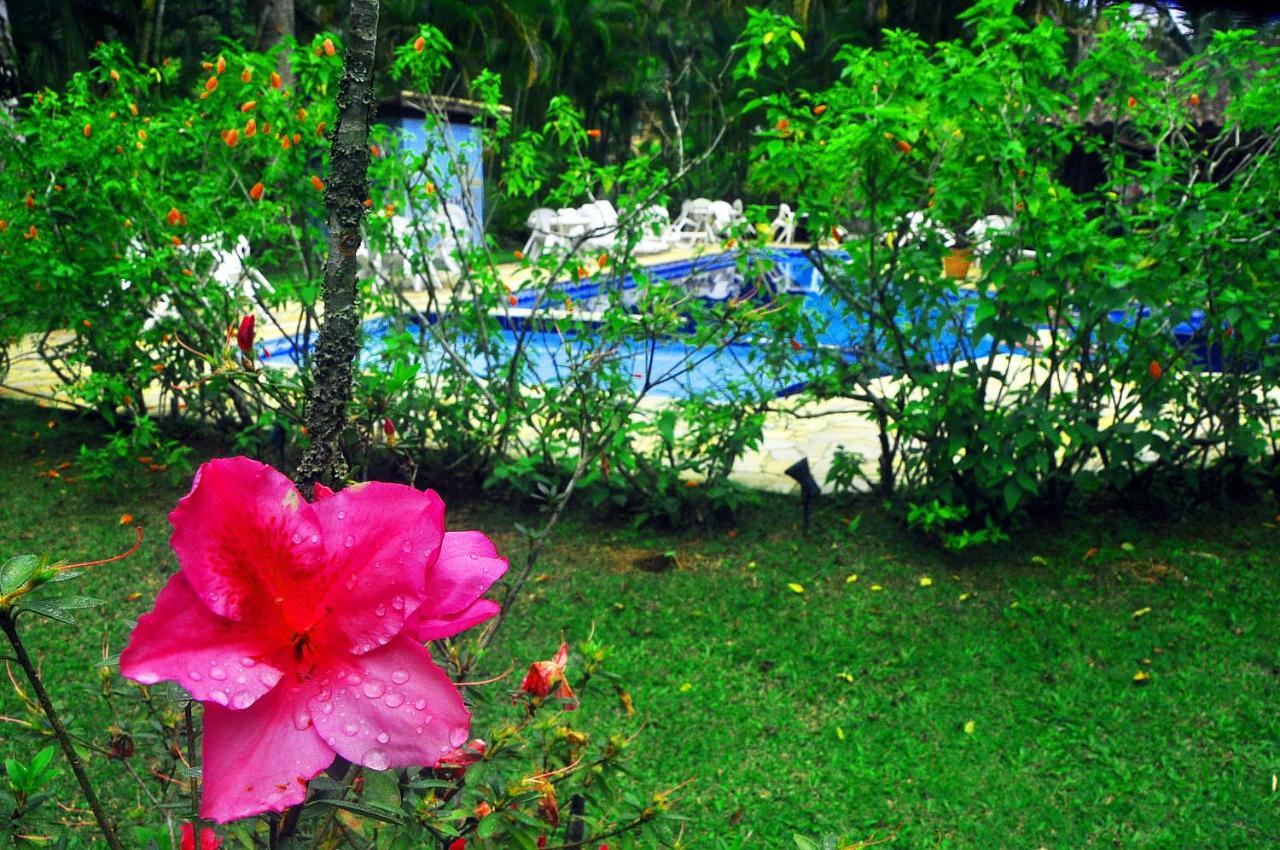 Pousada Baoba Juquei Exterior photo